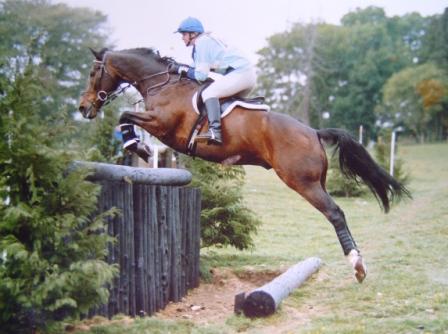 'Henry' at the Intermediate Championships henry int champs